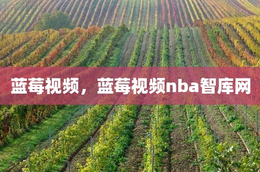 蓝莓视频，蓝莓视频nba智库网