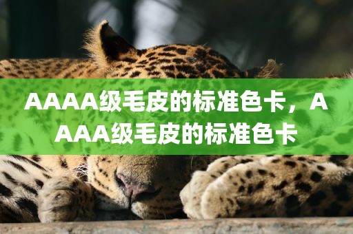 AAAA级毛皮的标准色卡，AAAA级毛皮的标准色卡