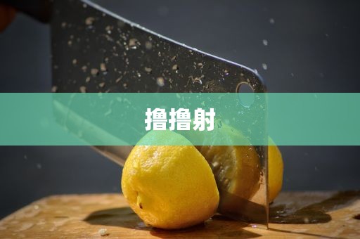 撸撸射