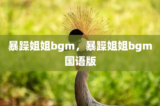 暴躁姐姐bgm，暴躁姐姐bgm国语版