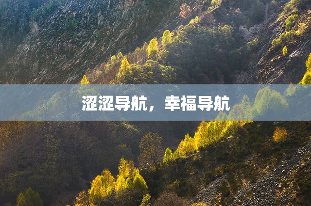 涩涩导航，幸福导航