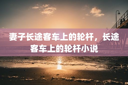 妻子长途客车上的轮杆，长途客车上的轮杆小说