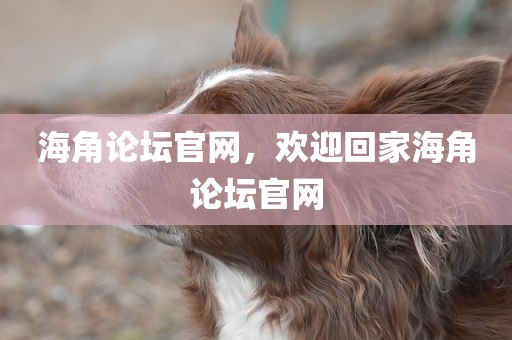 海角论坛官网，欢迎回家海角论坛官网