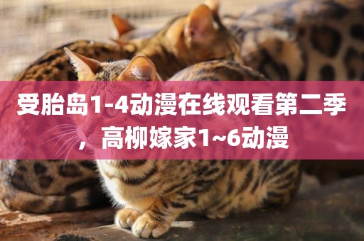 受胎岛1-4动漫在线观看第二季，高柳嫁家1~6动漫