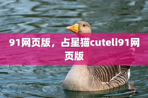 91网页版，占星猫cuteli91网页版