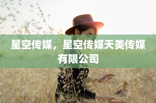 星空传媒，星空传媒天美传媒有限公司