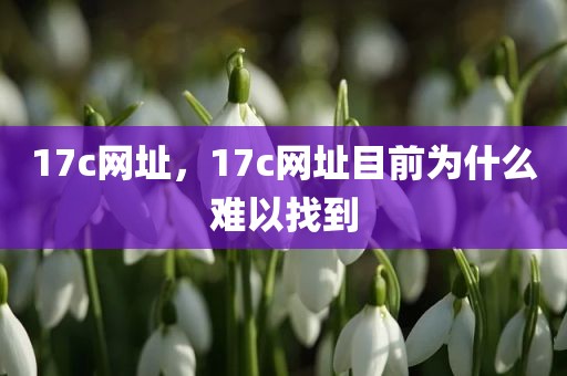 17c网址，17c网址目前为什么难以找到