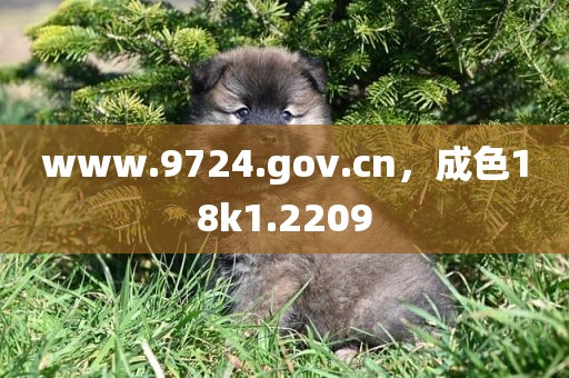 www.9724.gov.cn，成色18k1.2209
