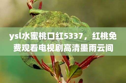 ysl水蜜桃口红5337，红桃免费观看电视剧高清墨雨云间
