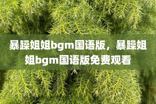 暴躁姐姐bgm国语版，暴躁姐姐bgm国语版免费观看