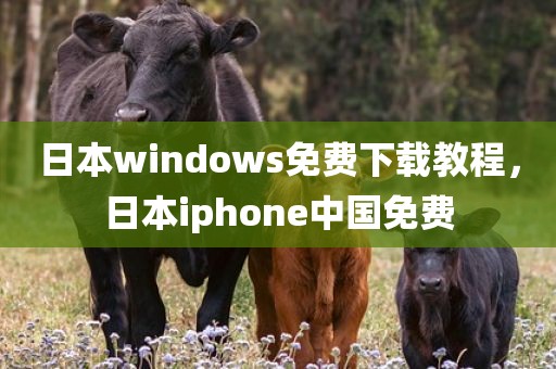 日本windows免费下载教程，日本iphone中国免费