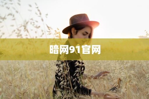 暗网91官网