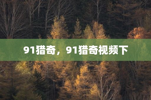91猎奇，91猎奇视频下