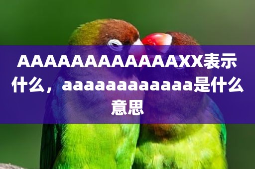 AAAAAAAAAAAAXX表示什么，aaaaaaaaaaaa是什么意思