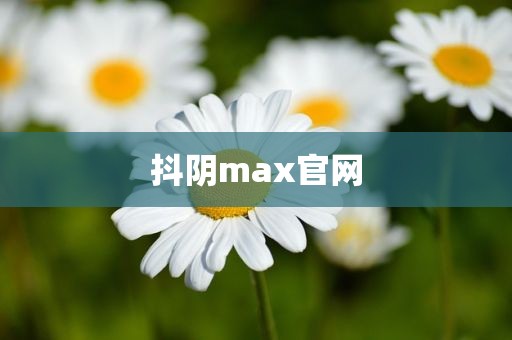 抖阴max官网