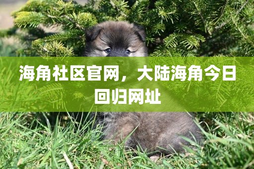 海角社区官网，大陆海角今日回归网址