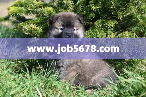 www.job5678.com