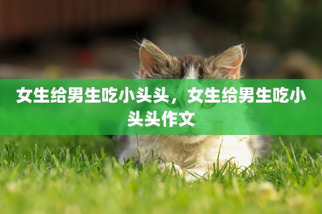 女生给男生吃小头头，女生给男生吃小头头作文