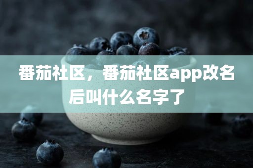 番茄社区，番茄社区app改名后叫什么名字了