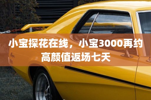 小宝探花在线，小宝3000再约高颜值返场七天