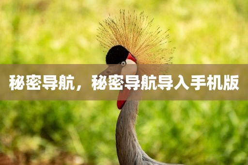 秘密导航，秘密导航导入手机版