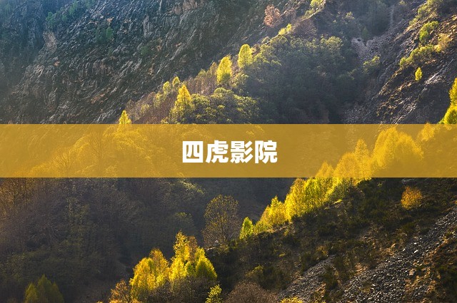 四虎影院