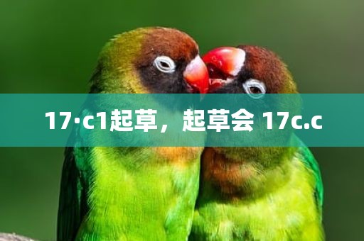 17·c1起草，起草会 17c.c