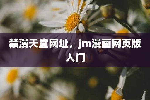 禁漫天堂网址，jm漫画网页版入门