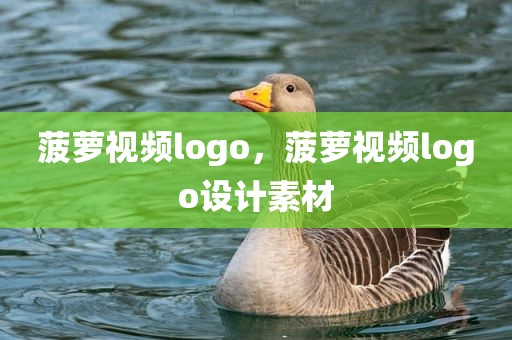 菠萝视频logo，菠萝视频logo设计素材