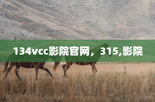134vcc影院官网，315,影院