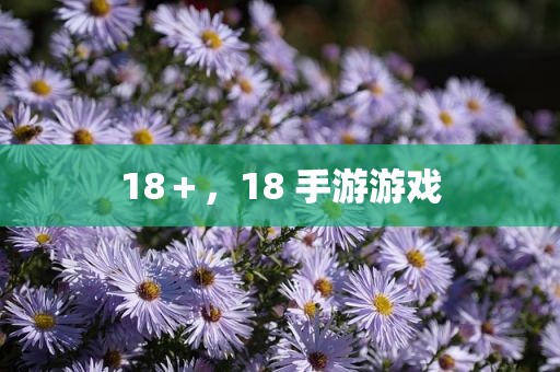 18＋，18 手游游戏