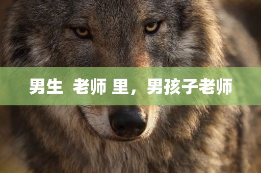 男生  老师 里，男孩子老师