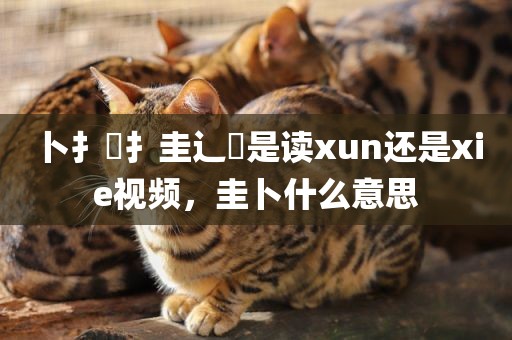 卜扌喿扌圭辶畐是读xun还是xie视频，圭卜什么意思