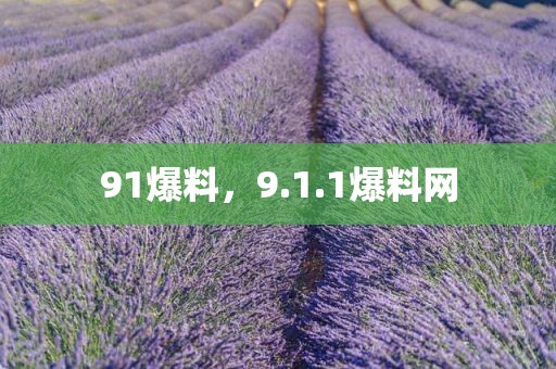 91爆料，9.1.1爆料网