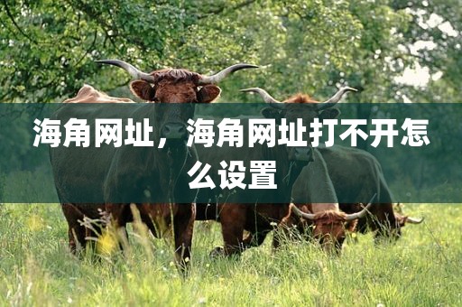 海角网址，海角网址打不开怎么设置