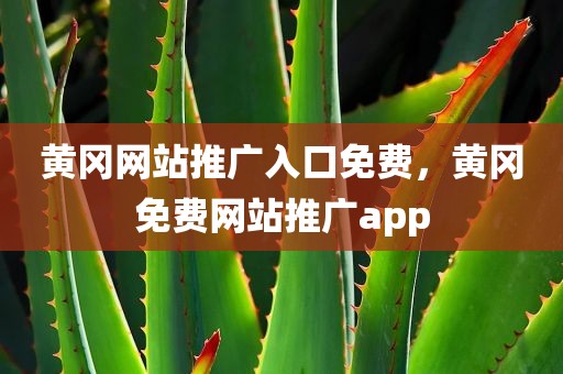 黄冈网站推广入口免费，黄冈免费网站推广app