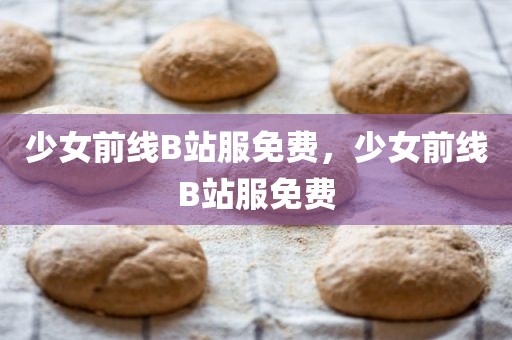 少女前线B站服免费，少女前线B站服免费