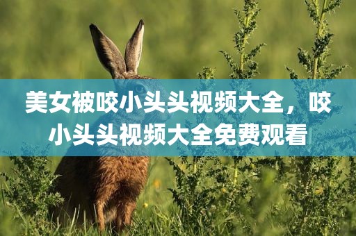 美女被咬小头头视频大全，咬小头头视频大全免费观看