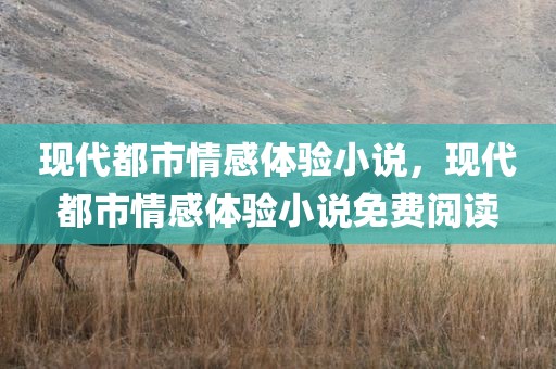 现代都市情感体验小说，现代都市情感体验小说免费阅读