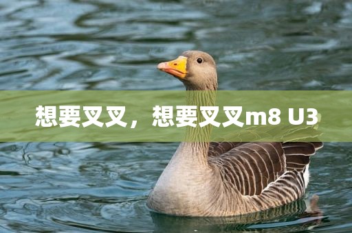 想要叉叉，想要叉叉m8 U3