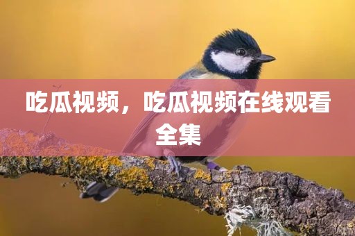 吃瓜视频，吃瓜视频在线观看全集