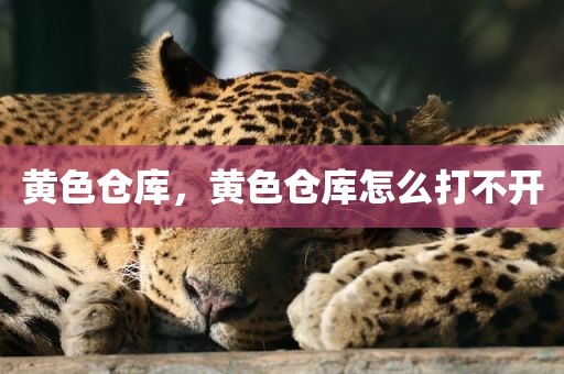 黄色仓库，黄色仓库怎么打不开