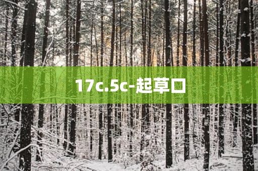 17c.5c-起草口