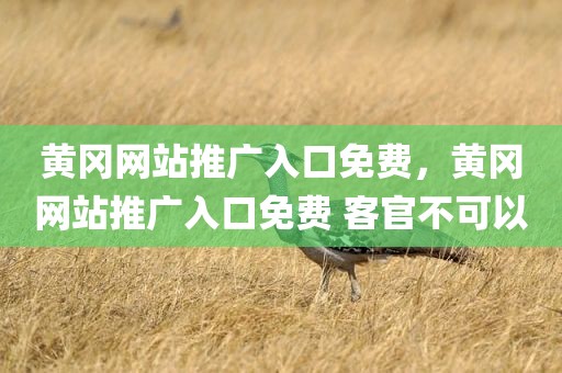 黄冈网站推广入口免费，黄冈网站推广入口免费 客官不可以