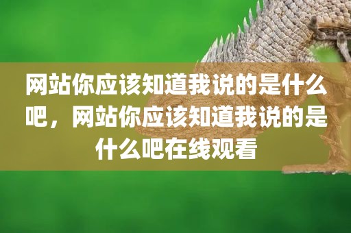网站你应该知道我说的是什么吧，网站你应该知道我说的是什么吧在线观看