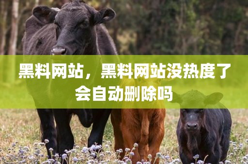 黑料网站，黑料网站没热度了会自动删除吗