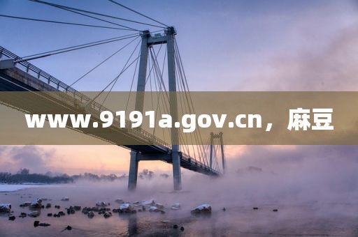 www.9191a.gov.cn，麻豆