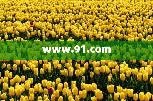 www.91.com