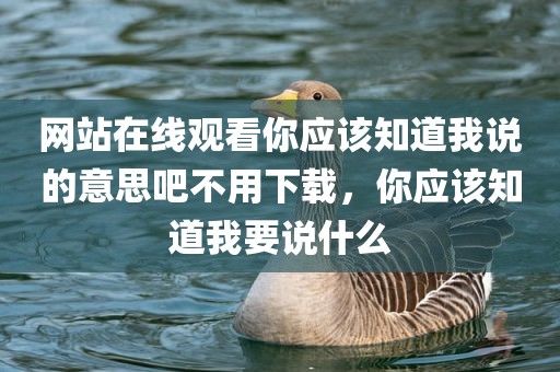 网站在线观看你应该知道我说的意思吧不用下载，你应该知道我要说什么