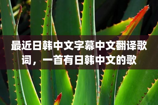 最近日韩中文字幕中文翻译歌词，一首有日韩中文的歌
